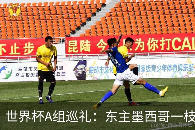世界杯A组巡礼：东主墨西哥一枝独秀 韩国有望突破历史