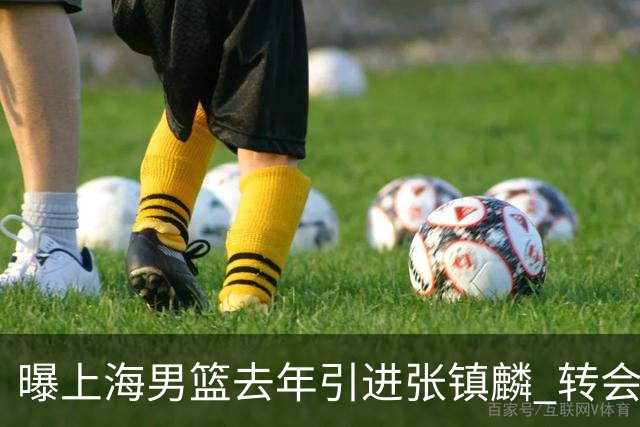 曝上海男篮去年引进张镇麟 转会费投入超5000万